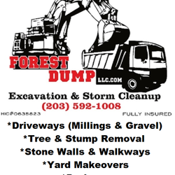 Forest Dump