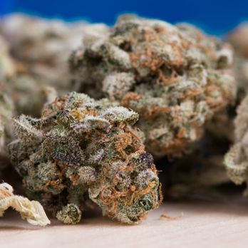Higher Yields Cannabis Consulting - Business Consulting Near Me - Denver, Colorado Higher Yields Cannabis Consulting - Business Consulting Near Me - Denver, Colorado