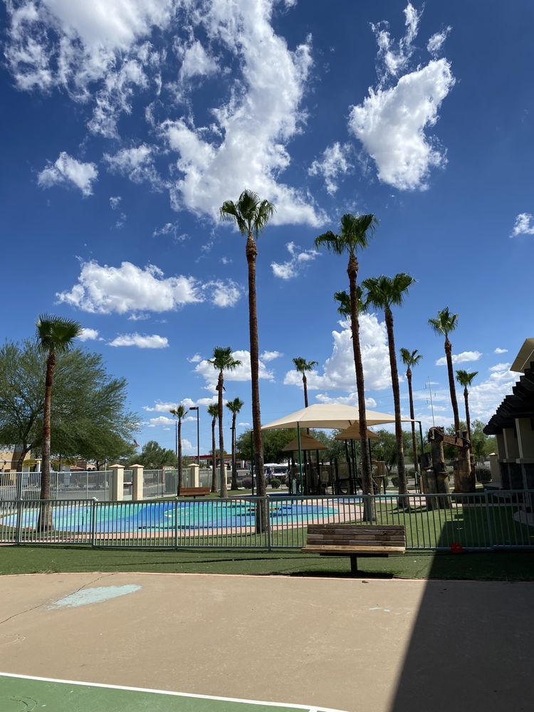 Trees & Strategy Tree service - tree service in Tucson, AZ