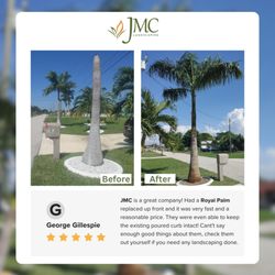 JMC Landscaping & Nursery - Exciting Project : Palms, Plants, Perfect Layout!