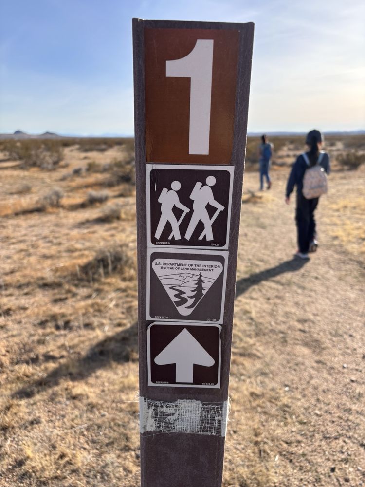 Desert Tortoise Natural Area Logo