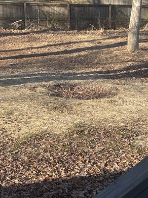 Mitchell Plumbing & Heating