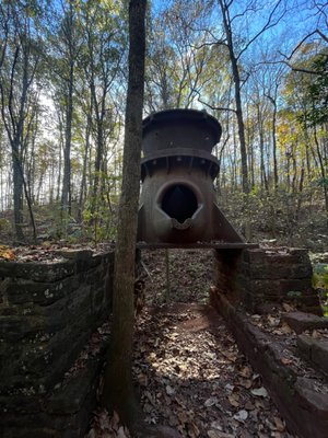 Ruffner Mountain by null