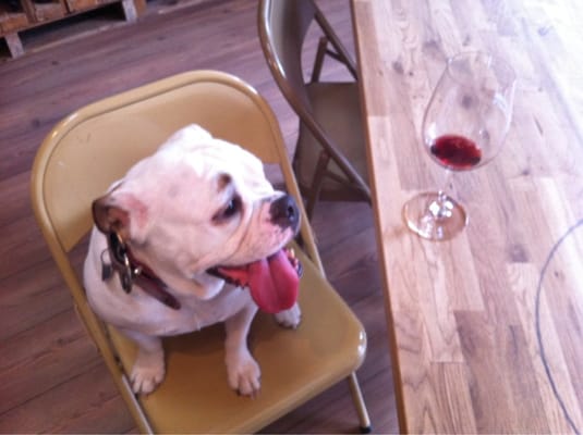 Municipal Winemakers by null