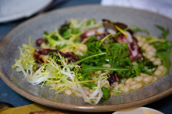 Photo of Delfina - San Francisco, CA, US. grilled calamari salad