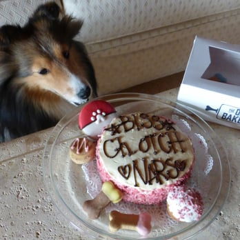 The Dog Bakery - This is the pink coconut cake. The 5" one is plenty for 8 sheltie-sized dogs to get a slice. - Pet Stores Near Me - Pasadena, California The Dog Bakery - This is the pink coconut cake. The 5" one is plenty for 8 sheltie-sized dogs to get a slice. - Pet Stores Near Me - Pasadena, California
