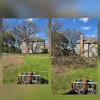 D I Tree Removal And Trimming - Tree Services Near Me D I Tree Removal And Trimming - Tree Services Near Me