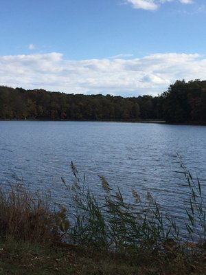 Darlington County Park by null
