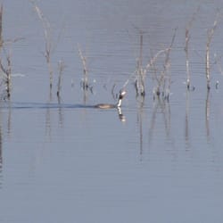 Northeimer Seenplatte