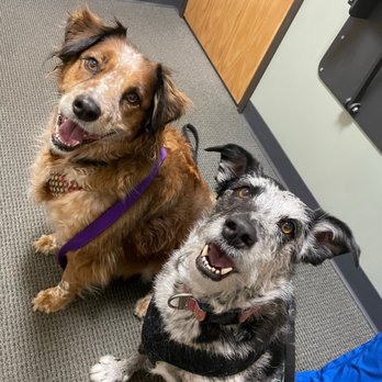 Bouton Veterinary Hospital - Veterinarians Near Me - Littleton, Colorado Bouton Veterinary Hospital - Veterinarians Near Me - Littleton, Colorado
