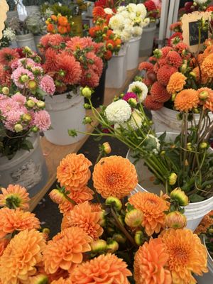 Melrose Place Farmers Market by null