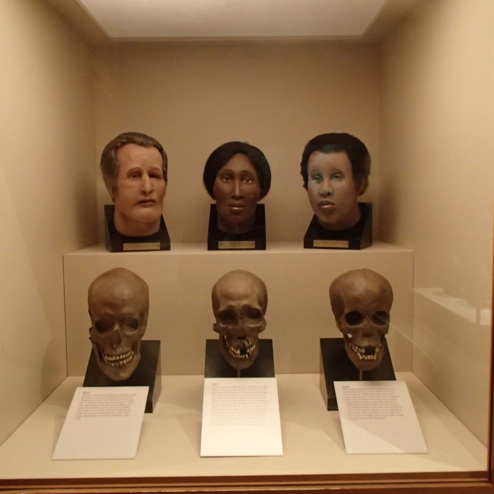 New York State Museum - Facial reconstruction of 19th century Albany residents from skeletons - Museums Near Me - Albany, New York New York State Museum - Facial reconstruction of 19th century Albany residents from skeletons - Museums Near Me - Albany, New York