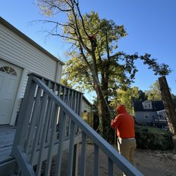 Gomez Landscaping & Tree Services