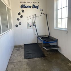 Blue Star Car & Pet Wash At Providence - Wash room