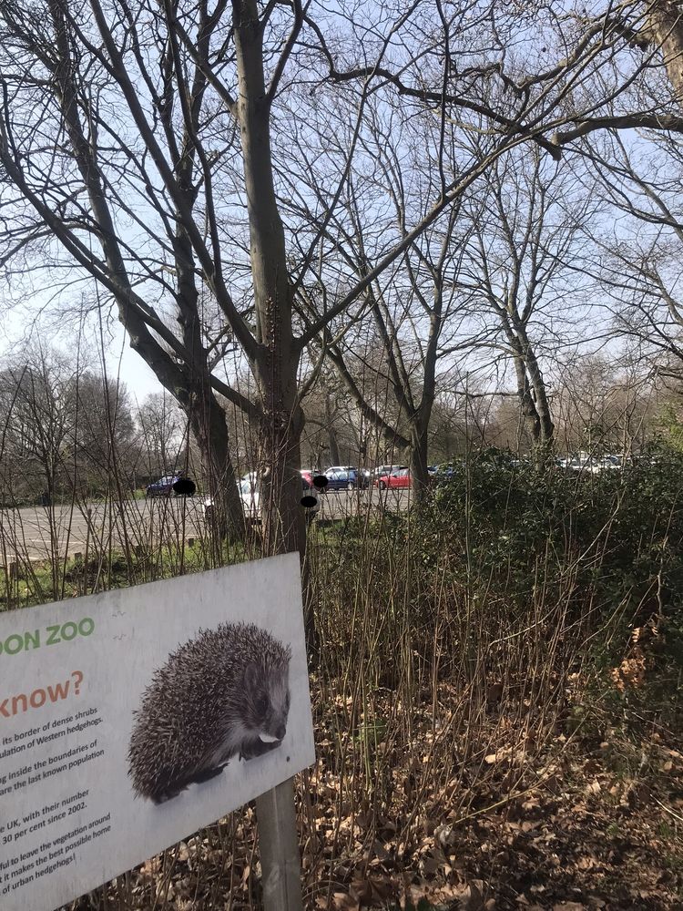 LONDON ZOO PARKING Outer Cir, London, United Kingdom Yelp