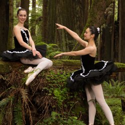 Trinity Ballet Academy