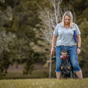 K9 Fluent Professional Dog Training - Pet Training Near Me - Sunset, Utah K9 Fluent Professional Dog Training - Pet Training Near Me - Sunset, Utah