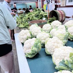 Witte's Vegetable Farm