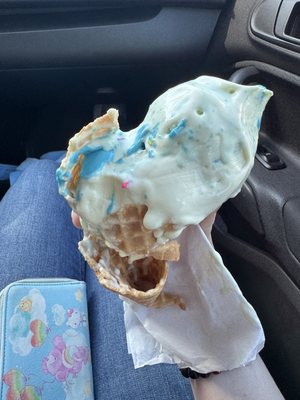 Bruster's Real Ice Cream by null