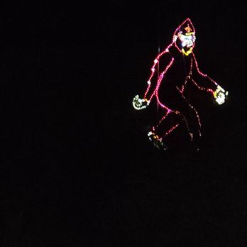 Zoolights - Zoos Near Me - Phoenix, Arizona