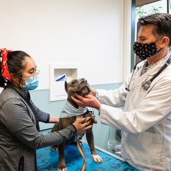 Campus Veterinary Clinic - Veterinarians Near Me - Berkeley, California Campus Veterinary Clinic - Veterinarians Near Me - Berkeley, California