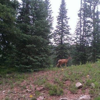 San Juan National Forest - Parks Near Me - Durango, Colorado San Juan National Forest - Parks Near Me - Durango, Colorado