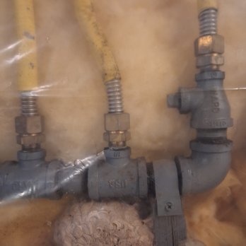 The Yellow Jacket Expert - Nest in basement under natural gas pipes. - Pest Control Near Me - West Hartford, Connecticut The Yellow Jacket Expert - Nest in basement under natural gas pipes. - Pest Control Near Me - West Hartford, Connecticut