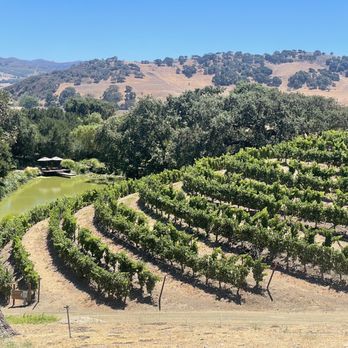 Rooted Vine Tours - Wine Tours Near Me - Santa Barbara, California Rooted Vine Tours - Wine Tours Near Me - Santa Barbara, California