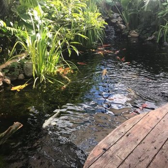 The Pond Digger - 2nd year - Landscaping Near Me - Cherry Valley, California
