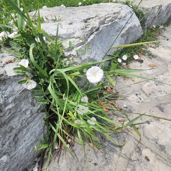Bluffer’s Park - Parks Near Me - Toronto, Ontario