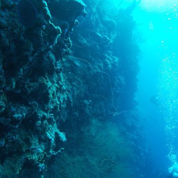 Paradise Scuba - Scuba Diving Near Me - La Parguera, Puerto Rico