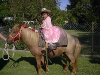 Pony Express - equestrian in San Antonio, TX