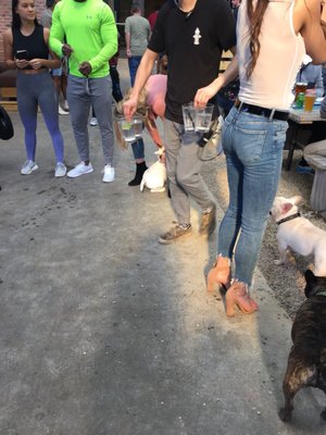 Bottled Blonde - Dallas by null Bottled Blonde - Dallas by null