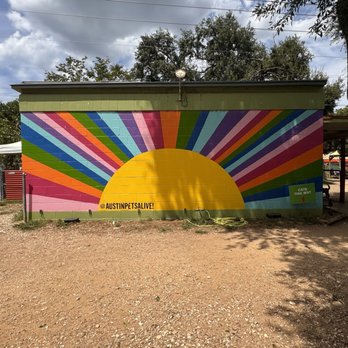 Austin Pets Alive! - Animal Shelters Near Me - Austin, Texas Austin Pets Alive! - Animal Shelters Near Me - Austin, Texas