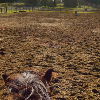 Rusty Bar Ranch - Horse Boarding Near Me - Roy, Washington Rusty Bar Ranch - Horse Boarding Near Me - Roy, Washington