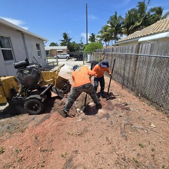 Full Height Tree Services - Tree Services Near Me - Jupiter, Florida Full Height Tree Services - Tree Services Near Me - Jupiter, Florida