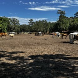 Lawton Stables