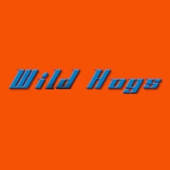 Wild Hogs Scooters - Motorcycle Dealers Near Me - Deland, Florida Wild Hogs Scooters - Motorcycle Dealers Near Me - Deland, Florida