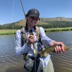 Parks' Fly Shop