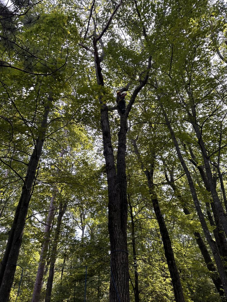 HORIZON OUTDOOR SERVICES Updated July 2024 Request a Quote London