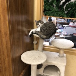 Hamilton Grove Healthcare and Rehabilitation - They got cats!