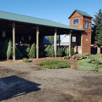 Hunter Family Farm - Covered area for pre-cut trees
Photo courtesy of www.facebook.com/JBLMRelocationSponsor - Christmas Trees Near Me - Olympia, Washington Hunter Family Farm - Covered area for pre-cut trees
Photo courtesy of www.facebook.com/JBLMRelocationSponsor - Christmas Trees Near Me - Olympia, Washington