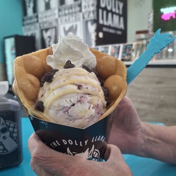 The Dolly Llama - Waffles Near Me - Winter Garden, Florida The Dolly Llama - Waffles Near Me - Winter Garden, Florida