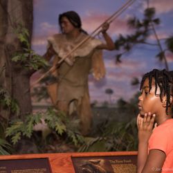 The Bishop Museum of Science and Nature - Discovering the hunt