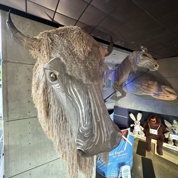Utah Olympic Park - Stadiums & Arenas Near Me - Park City, Utah Utah Olympic Park - Stadiums & Arenas Near Me - Park City, Utah
