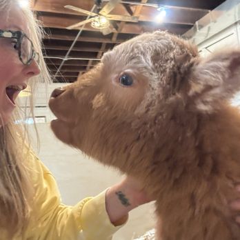 Kamins Farm Sanctuary - Animal Shelters Near Me