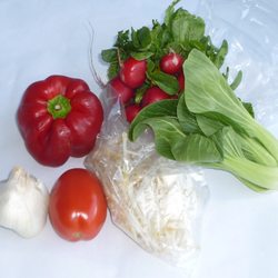 Foothill Produce - Garlic bulb, red bell, tomato, radish bunch, sm. baby bok choy, and a couple handfuls bean sprouts [sold by bulk]: total=$3.40 on 4/27/2023