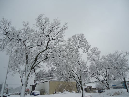 TownHouse Extended Stay Hotel Downtown by null