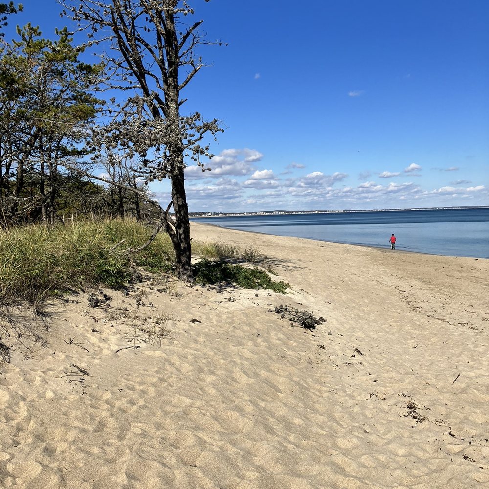 Ferry Beach State Park - Beach - Parks Near Me - Saco, Maine Ferry Beach State Park - Beach - Parks Near Me - Saco, Maine