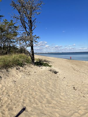 Ferry Beach State Park by null
